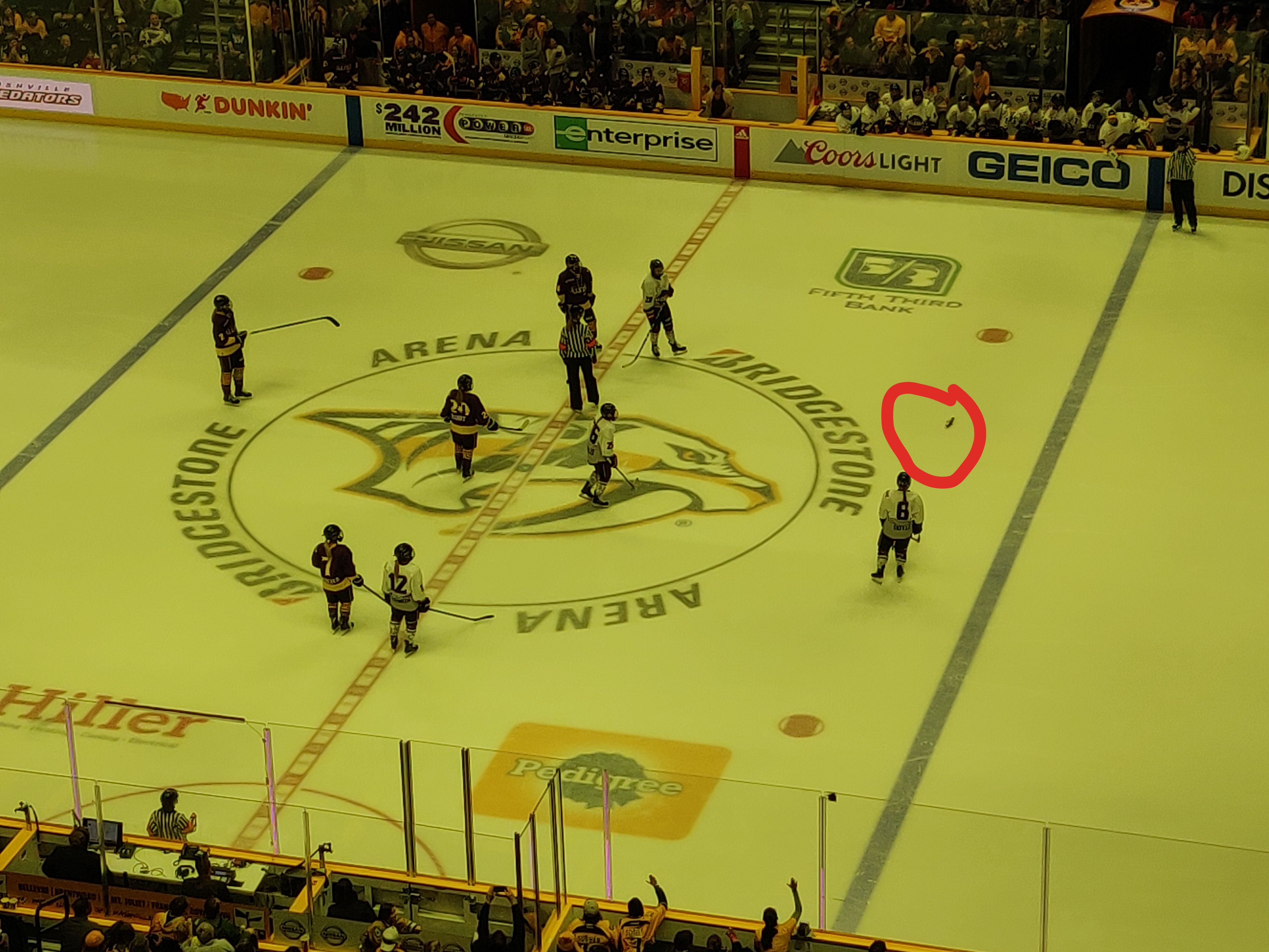 Catfish Opening Faceoff.jpg