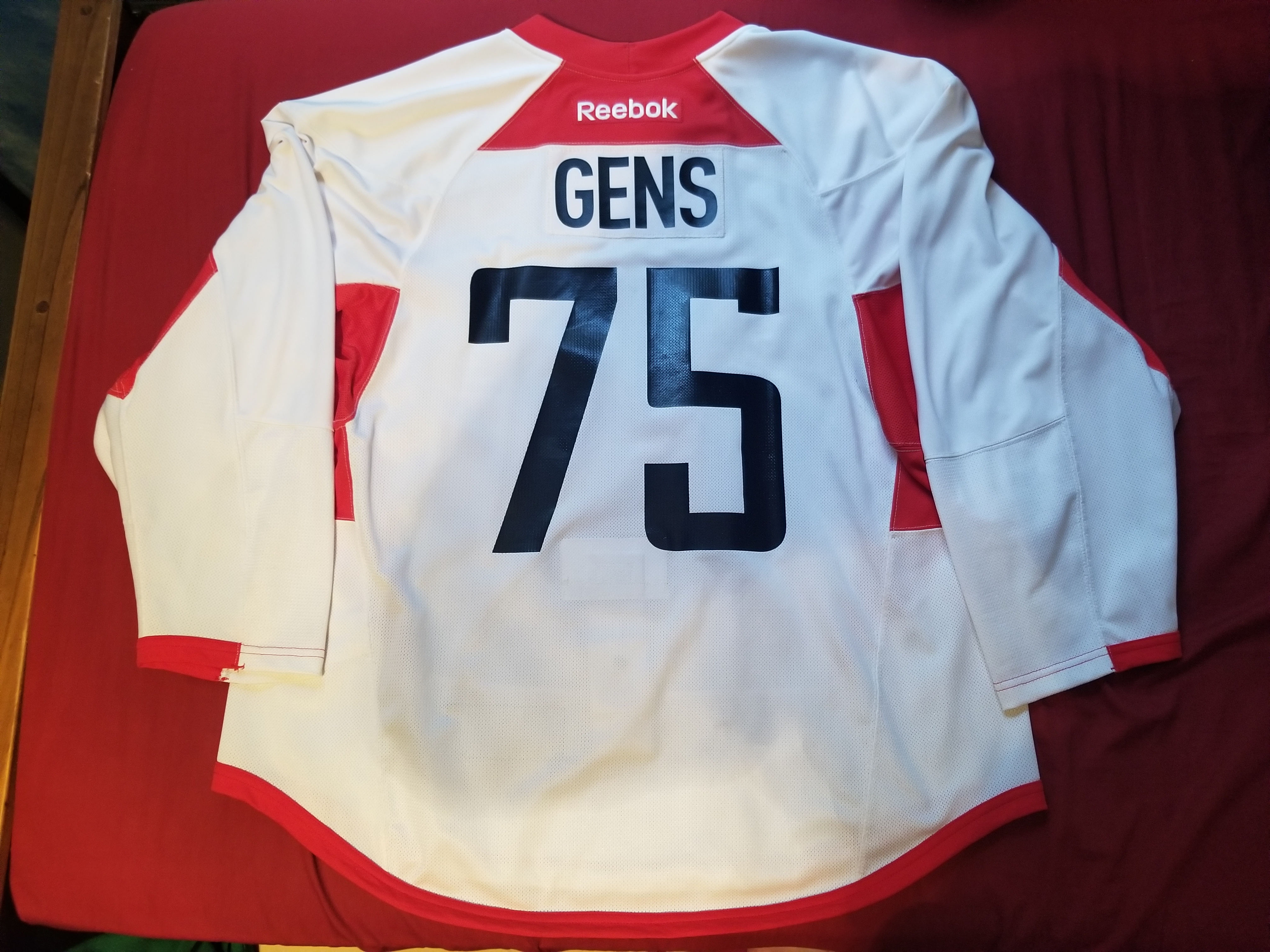 Capitals Training White 2016 Back
